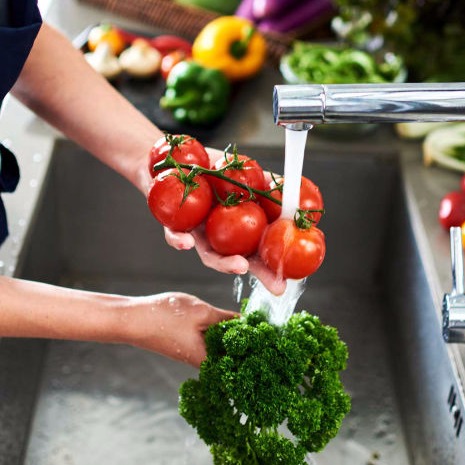 Manejo Higiénico de Alimentos